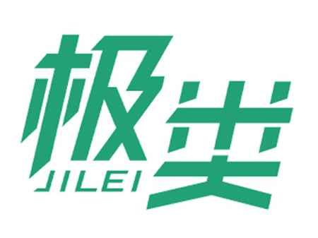 极类