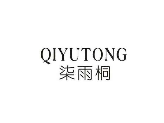 柒雨桐