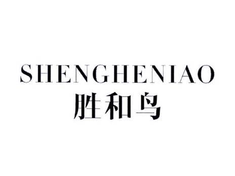 胜和鸟