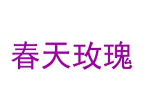 春天玫瑰