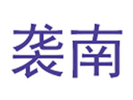 袭南