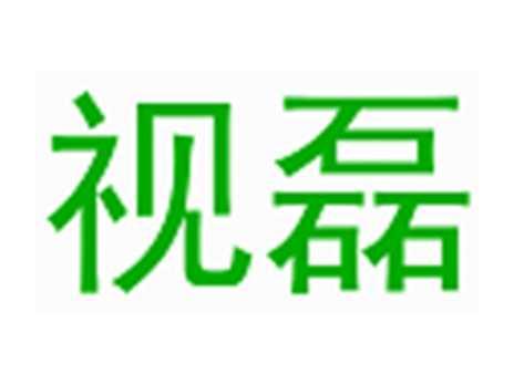 视磊
