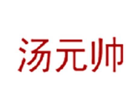 汤元帅