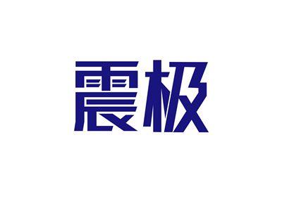 震极