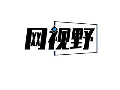 网视野