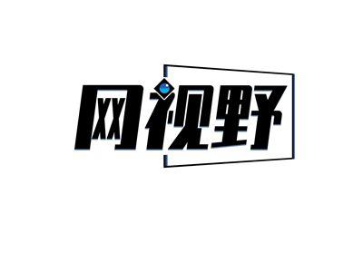网视野