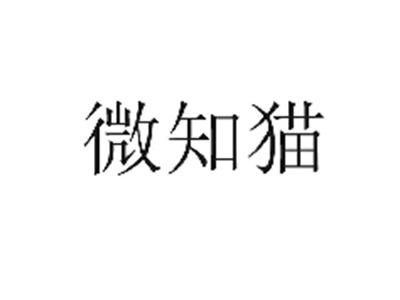 微知猫