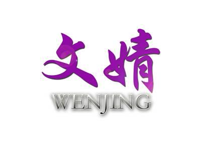 文婧