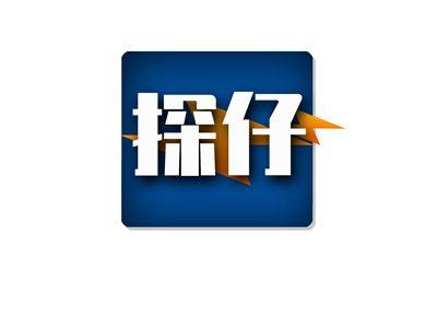 探仔