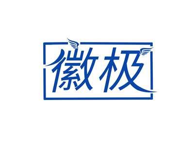 徽极