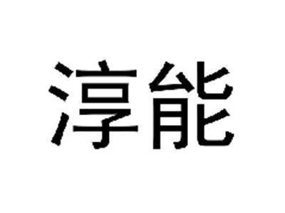淳能