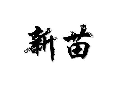 新苗