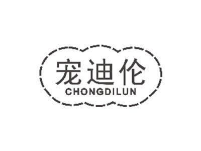 宠迪伦chongdilun