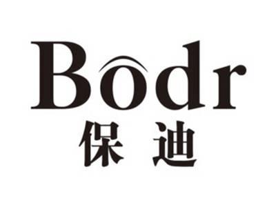 保迪bodr