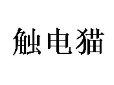 触电猫
