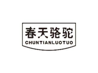 春天骆驼CHUNTIANLUOTUO