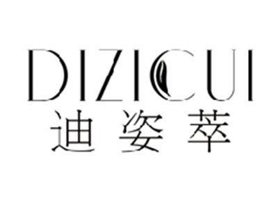 迪姿萃DIZICUI