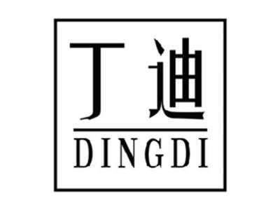 丁迪DINGDI