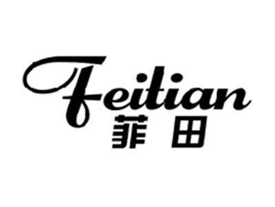菲田FEITIAN