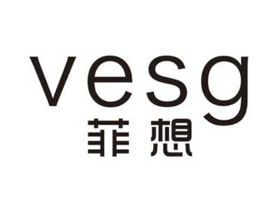 菲想VESG