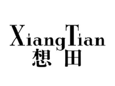 想田XIANGTIAN