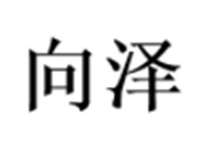 向泽