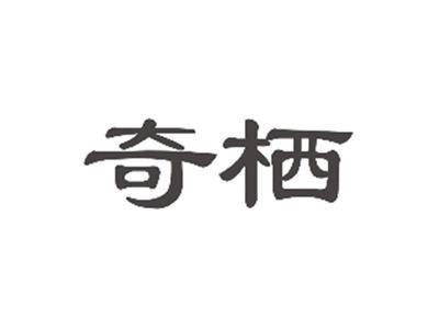 奇栖
