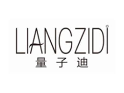 量子迪LIANGZIDI