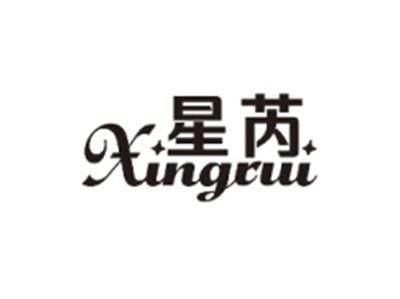 星芮XINGRUI