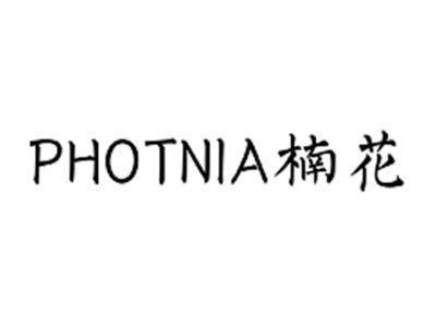 楠花