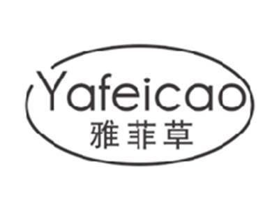 雅菲草YAFEICAO