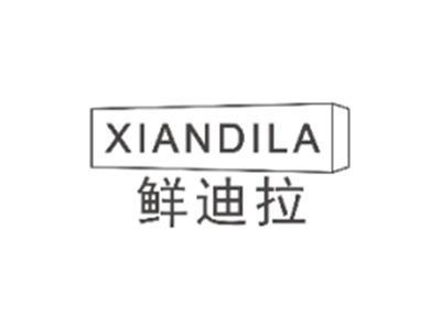 鲜迪拉XIANDILA