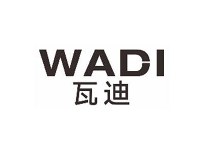 瓦迪wadi