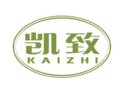 凯致KAIZHI