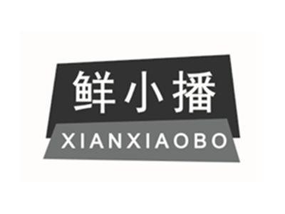 鲜小播XIANXIAOBO
