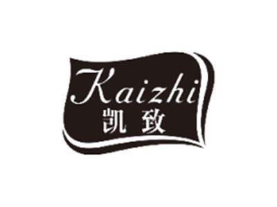 凯致KAIZHI