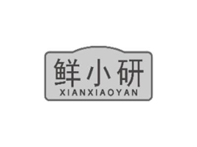 鲜小研xianxiaoyan