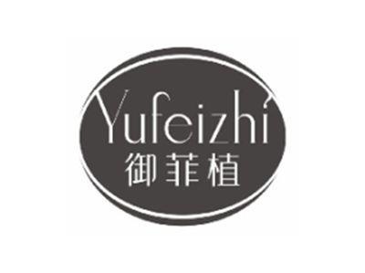 伊肌慕yijimu
