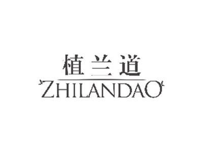 伊肌皙yijixi