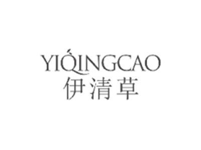 伊清草YIQINGCAO