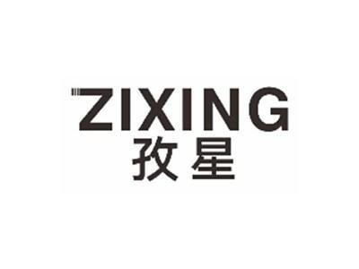 孜星ZIXING