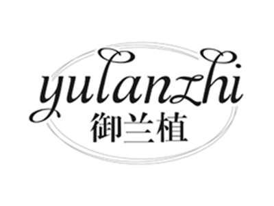 御兰植yulanzhi