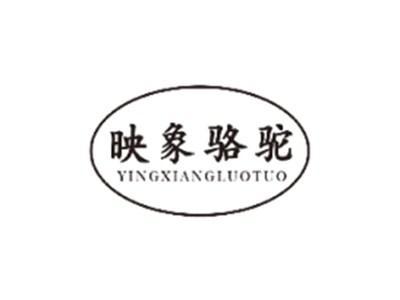 映象骆驼YINGXIANGLUOTUO
