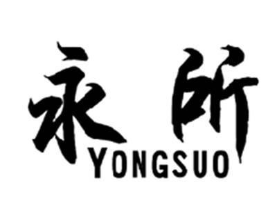 永所YONGSUO
