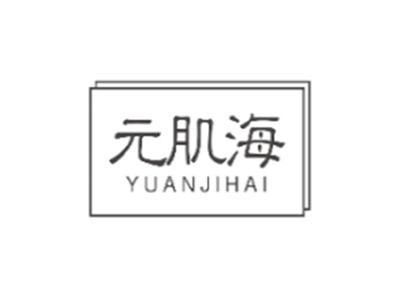 元肌海YUANJIHAI