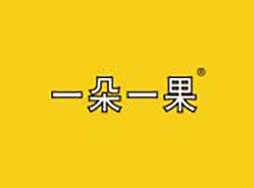 一朵一果