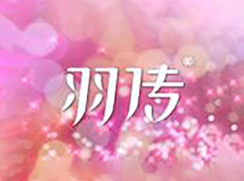 羽传