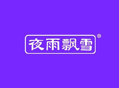 夜雨飘雪