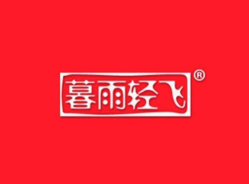 暮雨轻飞