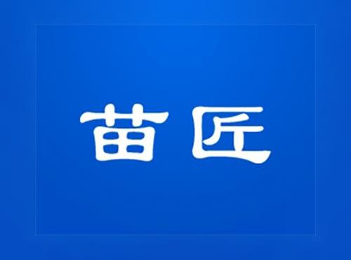 苗匠